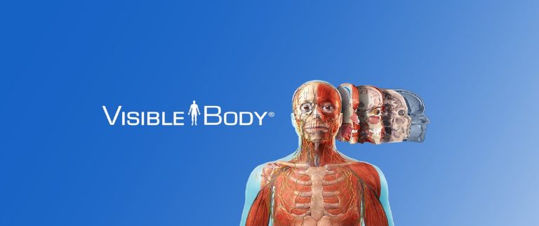 visible body